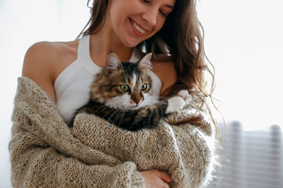 cat sat on woman’s lap